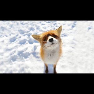 Meet your Posher, Evan